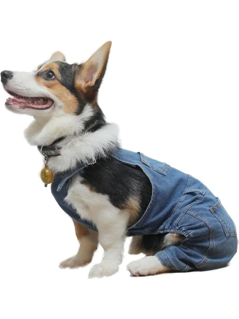 Stylish Denim Dog Jumpsuit Overalls - Cute Puppy Jeans for Small & Medium Pets